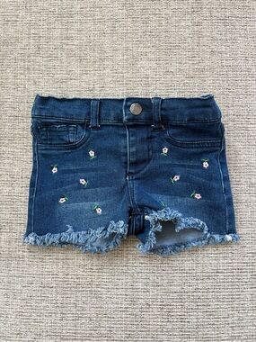 Joes Jeans Dark Blue Denim Shorts with Pink Floral Embroidery